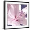 Lilac Flower II-Lucy Meadows-Framed Giclee Print