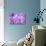 Lilac Flowers Background-Roxana_ro-Stretched Canvas displayed on a wall