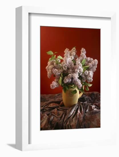 Lilac Flowers in Vase-Anna Miller-Framed Photographic Print