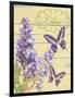 Lilac Garden-Bella Dos Santos-Framed Art Print