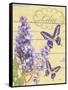 Lilac Garden-Bella Dos Santos-Framed Stretched Canvas