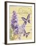 Lilac Garden-Bella Dos Santos-Framed Art Print