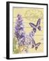 Lilac Garden-Bella Dos Santos-Framed Art Print