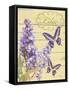 Lilac Garden-Bella Dos Santos-Framed Stretched Canvas