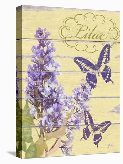 Lilac Garden-Bella Dos Santos-Stretched Canvas