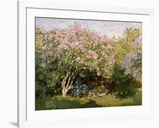 Lilac in the Sun, 1872-1873-Claude Monet-Framed Giclee Print