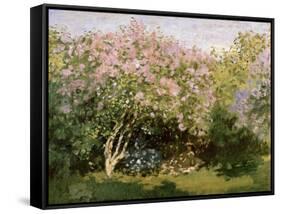 Lilac in the Sun, 1872-1873-Claude Monet-Framed Stretched Canvas