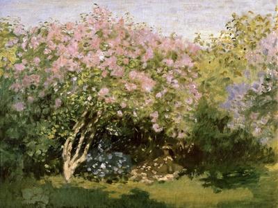 https://imgc.allpostersimages.com/img/posters/lilac-in-the-sun-1872-1873_u-L-Q1IF9UU0.jpg?artPerspective=n