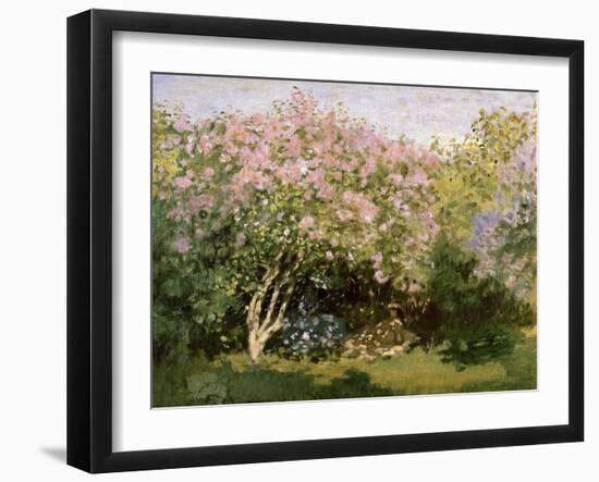 Lilac in the Sun, 1872-1873-Claude Monet-Framed Giclee Print