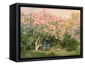 Lilac in the Sun, 1873-Claude Monet-Framed Stretched Canvas