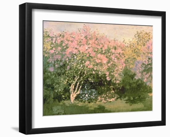 Lilac in the Sun, 1873-Claude Monet-Framed Giclee Print