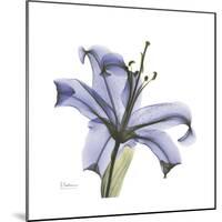 Lilac Lily-Albert Koetsier-Mounted Premium Giclee Print