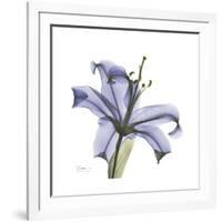 Lilac Lily-Albert Koetsier-Framed Premium Giclee Print