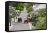 Lilac Lined Street with Horse Carriage, Mackinac Island, Michigan, USA-Cindy Miller Hopkins-Framed Stretched Canvas