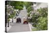 Lilac Lined Street with Horse Carriage, Mackinac Island, Michigan, USA-Cindy Miller Hopkins-Stretched Canvas