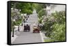 Lilac Lined Street with Horse Carriage, Mackinac Island, Michigan, USA-Cindy Miller Hopkins-Framed Stretched Canvas