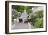 Lilac Lined Street with Horse Carriage, Mackinac Island, Michigan, USA-Cindy Miller Hopkins-Framed Photographic Print