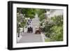 Lilac Lined Street with Horse Carriage, Mackinac Island, Michigan, USA-Cindy Miller Hopkins-Framed Photographic Print