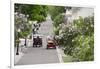 Lilac Lined Street with Horse Carriage, Mackinac Island, Michigan, USA-Cindy Miller Hopkins-Framed Photographic Print