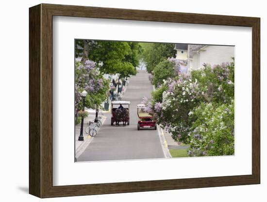 Lilac Lined Street with Horse Carriage, Mackinac Island, Michigan, USA-Cindy Miller Hopkins-Framed Photographic Print