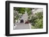 Lilac Lined Street with Horse Carriage, Mackinac Island, Michigan, USA-Cindy Miller Hopkins-Framed Photographic Print