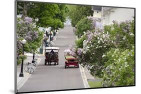 Lilac Lined Street with Horse Carriage, Mackinac Island, Michigan, USA-Cindy Miller Hopkins-Mounted Photographic Print