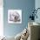 Lilac Magnolia-Albert Koetsier-Premium Giclee Print displayed on a wall