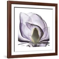 Lilac Magnolia-Albert Koetsier-Framed Premium Giclee Print