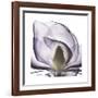 Lilac Magnolia-Albert Koetsier-Framed Premium Giclee Print