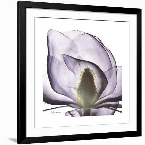 Lilac Magnolia-Albert Koetsier-Framed Premium Giclee Print