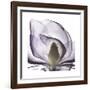 Lilac Magnolia-Albert Koetsier-Framed Giclee Print