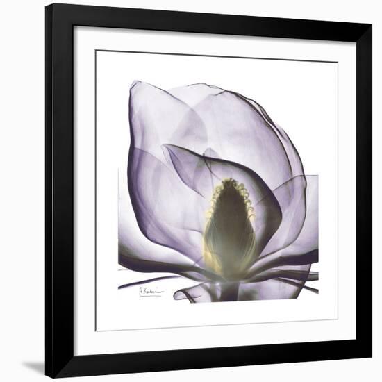 Lilac Magnolia-Albert Koetsier-Framed Giclee Print
