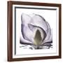 Lilac Magnolia-Albert Koetsier-Framed Giclee Print