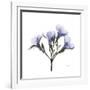 Lilac Oleander-Albert Koetsier-Framed Premium Giclee Print