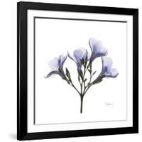 Lilac Oleander-Albert Koetsier-Framed Premium Giclee Print