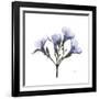 Lilac Oleander-Albert Koetsier-Framed Premium Giclee Print