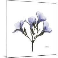 Lilac Oleander-Albert Koetsier-Mounted Premium Giclee Print