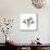 Lilac Oleander-Albert Koetsier-Mounted Premium Giclee Print displayed on a wall