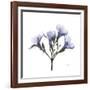 Lilac Oleander-Albert Koetsier-Framed Premium Giclee Print