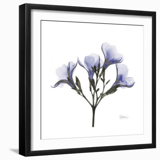 Lilac Oleander-Albert Koetsier-Framed Premium Giclee Print