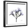 Lilac Oleander-Albert Koetsier-Framed Premium Giclee Print