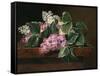 Lilac on a Ledge-Johan Laurentz Jensen-Framed Stretched Canvas