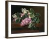 Lilac on a Ledge-Johan Laurentz Jensen-Framed Giclee Print