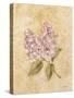 Lilac on Cracked Linen-Cheri Blum-Stretched Canvas