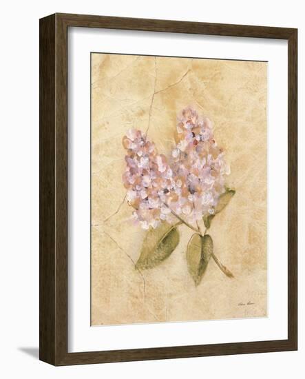 Lilac on Cracked Linen-Cheri Blum-Framed Art Print