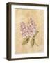 Lilac on Cracked Linen-Cheri Blum-Framed Art Print