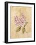 Lilac on Cracked Linen-Cheri Blum-Framed Art Print