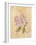 Lilac on Cracked Linen-Cheri Blum-Framed Art Print