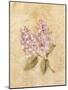 Lilac on Cracked Linen-Cheri Blum-Mounted Art Print