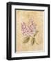 Lilac on Cracked Linen-Cheri Blum-Framed Art Print